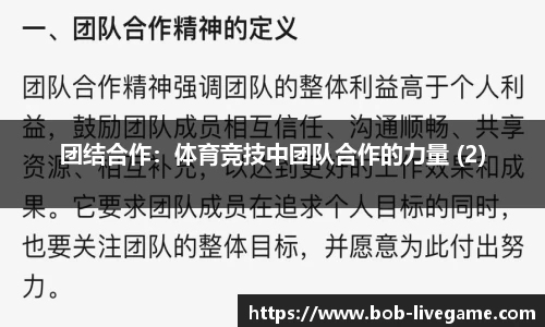 团结合作：体育竞技中团队合作的力量 (2)
